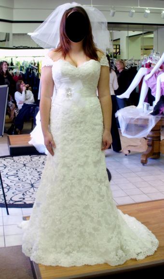 lace panina wedding dress
