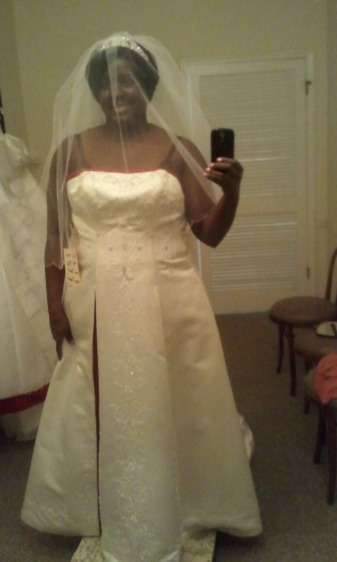 After much deliberation, I said yes to the dress! :  wedding dress Full Front 