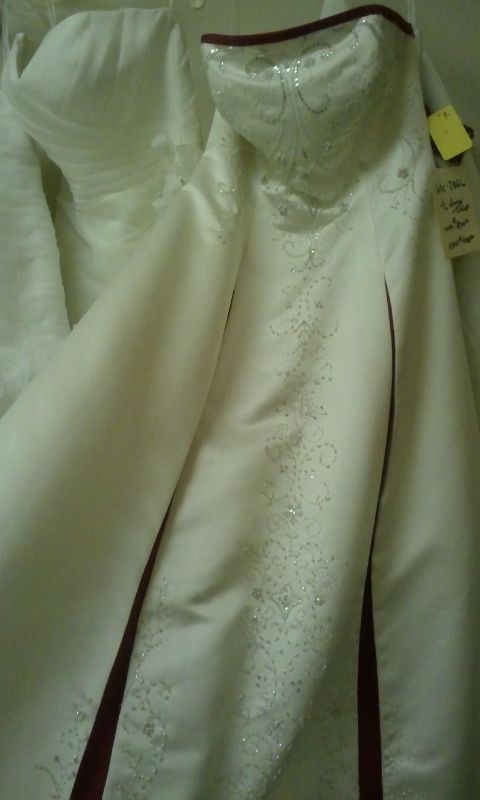 After much deliberation, I said yes to the dress! :  wedding dress My Dress