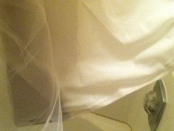 DIY--Wedding Dress Cleaning :  wedding before Im So Proud