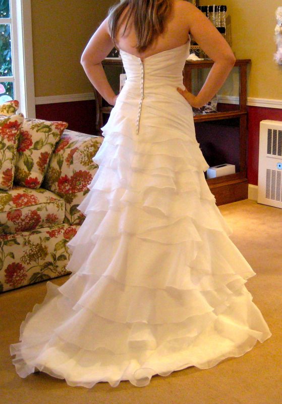 Show me your under $1000.00 dresses :  wedding Back Of Dress