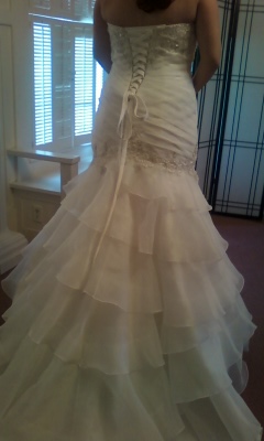 A dress made for a Queen :  wedding dress purple silver Photo0211 5