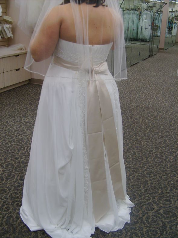 back of the dress..possible #1