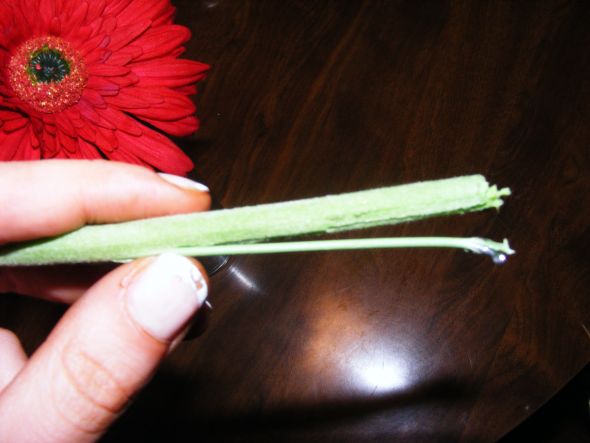 My afloral.com review w/ lots of pics! :  wedding afloral gerbera daisy silk flower real touch flower DSCF1821