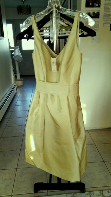 NEW - Ann Taylor - Sage Green (Sz 4, 4, 8) :  wedding ann taylor bridesmaid dresses green new sage bridesmaids dress IMAG0252
