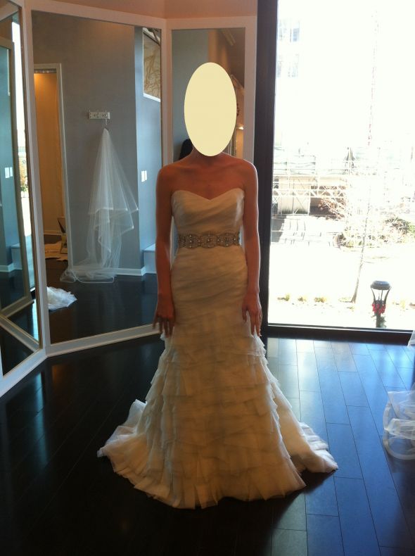 My Dress Journey- warning: long & INCREDIBLY PIC HEAVY! : wedding Fit And Flare Front