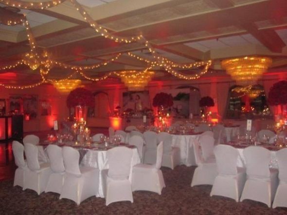 Selling chair covers