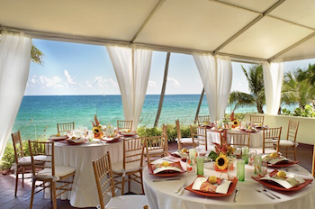 *Spinoff From June Thread: Survey for March Brides* :  wedding march march 2012 Pelican Tent