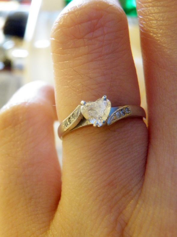After 5 months of waiting, he finally proposed! :  wedding e ring engagement proposal PB120073 1