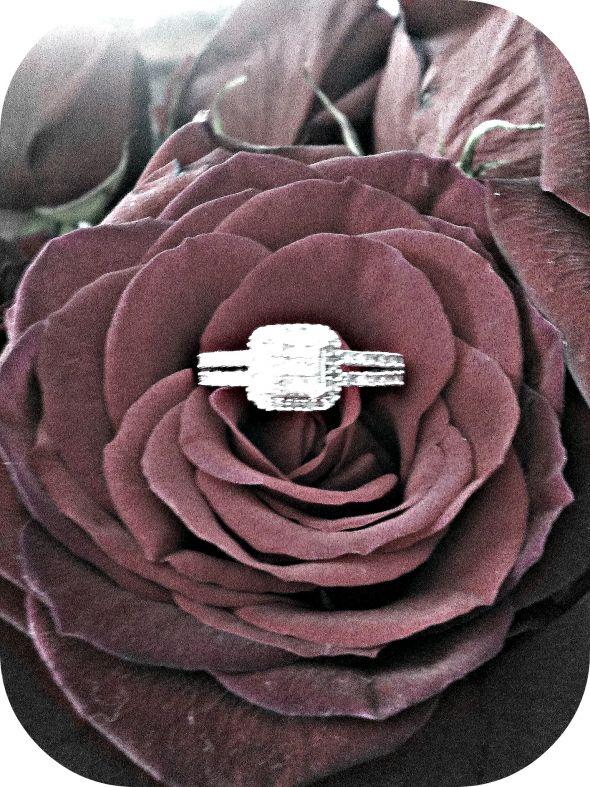 Have any Creative Pictures of your engagement ring? :  wedding ring creative picture Ring2
