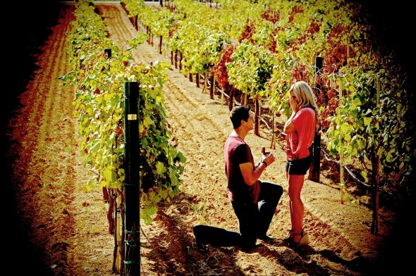 Vineyard Engagement Session? Where did you go? :  wedding engagement photos location vineyard Vineyards Engagement Photos