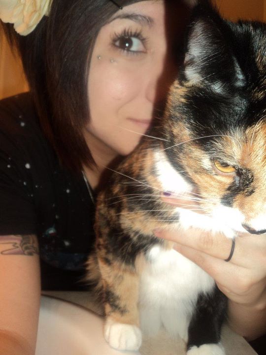 My SO and I are cat lovers! Show off your cats or pets! :) :  wedding pets Photo