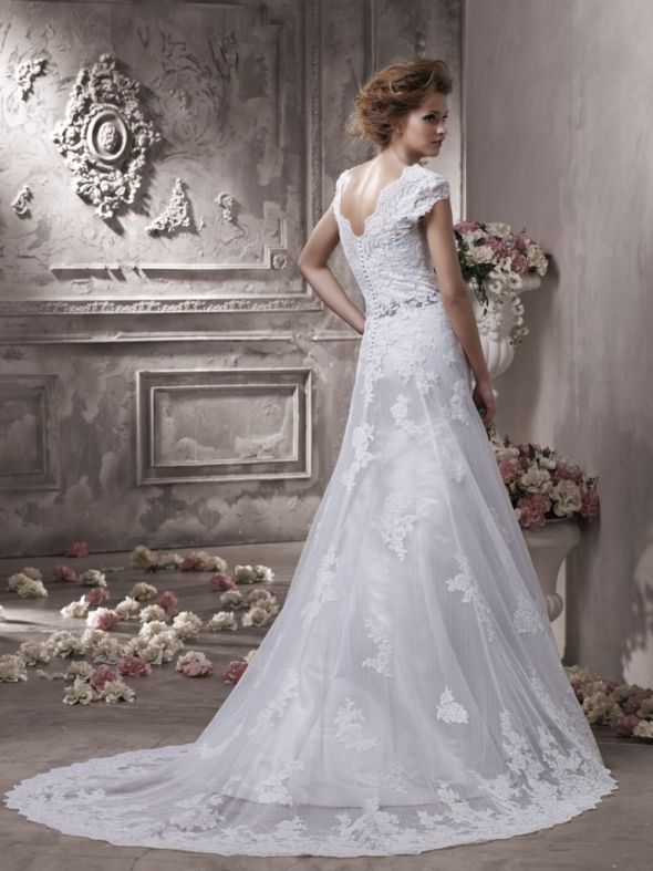 Recruiting Help! Does my dream dress exist? :  wedding lace dress sleeves low back open back 23022212