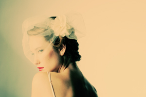 Newbie...Advice needed please! : wedding bird cage veil swarovski crystals head piece 2wendy