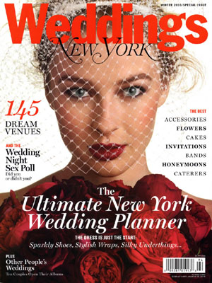 Newbie...Advice needed please! : wedding bird cage veil swarovski crystals head piece Nywedwinter09lowres 000
