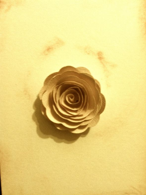 How to make rolled paper roses :  wedding diy how to decor Zzccp