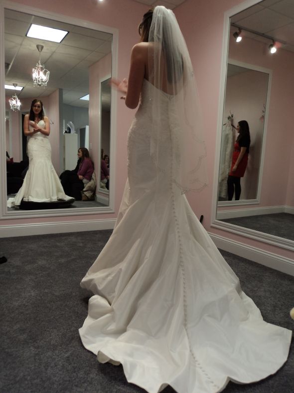 Help me pick my dress! :  wedding dress opinion DSC01752