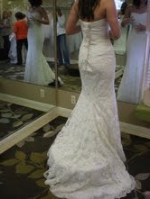 Help me pick my dress! :  wedding dress opinion Dress 