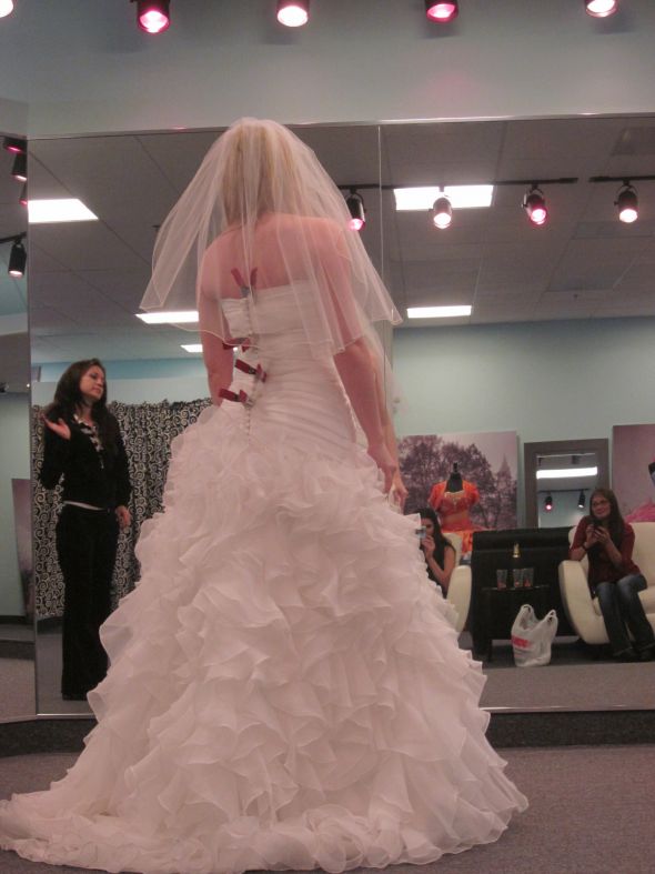 Which dress should I choose?? Remi San Patrick or Alfred Angelo 2314? Thx!! : wedding alfred angelo san patrick st patrick 1 remi vote wedding dress IMG 3850