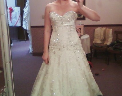 Allure? :  wedding a Dress Cropped