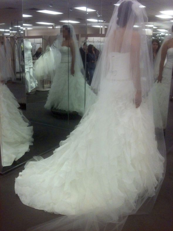found the dress! no hairstyle or jewerly in mind (pic heavy) :  wedding dress help hairstyle jewerly wg3118 Bridaldress3