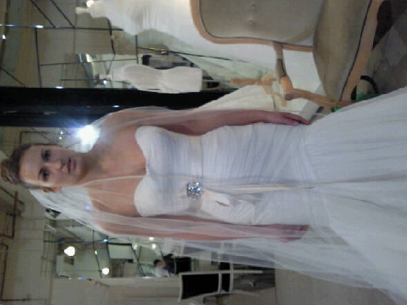 Please Help! Can not decide between two dresses!!! HELP! Pics : wedding vera dress sweetheart mermaid help Tulle2