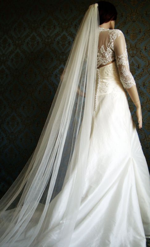 long tulle veil