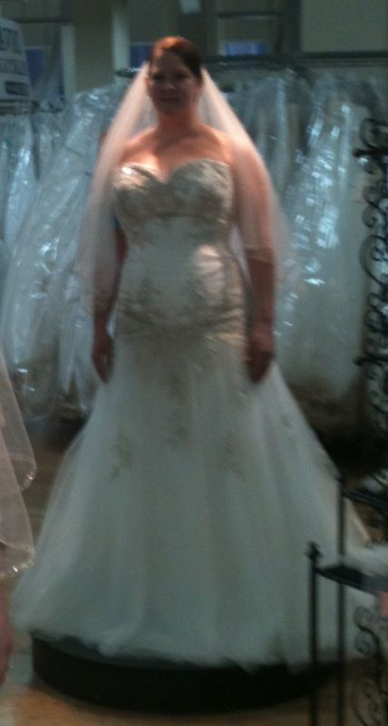 Any drop waist brides out there Show me your dresses wedding Wedding