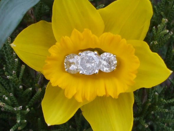 Let's See Your Ring Photo Shoot! :  wedding Daffodill Engagement Ring The One