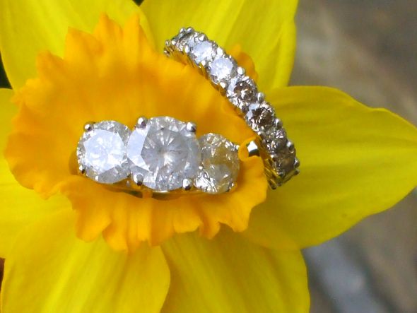 Let's See Your Ring Photo Shoot! :  wedding Daffodill Rings 1
