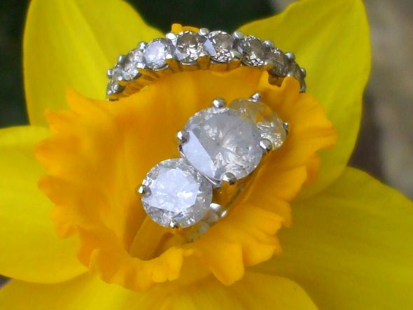 Let's See Your Ring Photo Shoot! :  wedding Daffodill Rings 2