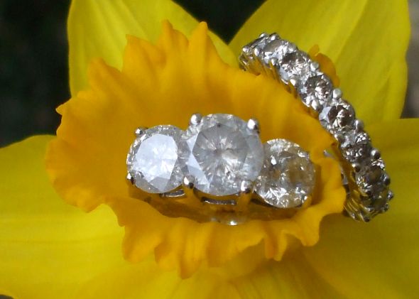 Let's See Your Ring Photo Shoot! :  wedding Daffodill Rings One