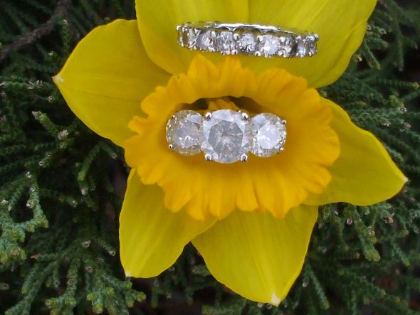 Let's See Your Ring Photo Shoot! :  wedding Daffodill Rings Two