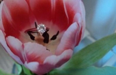 Have any Creative Pictures of your engagement ring? :  wedding ring creative picture Ring2