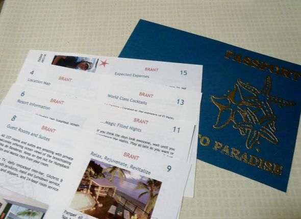DIY Passport Save the Dates