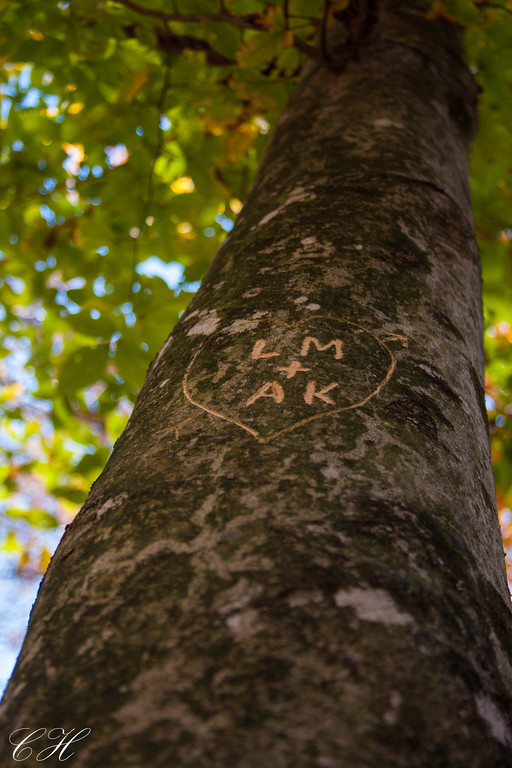 Vintage/Overalls Engagement Session :  wedding bandana country creek engagement fall guitar overalls pictures ring tree vintage IMG 4678 XL