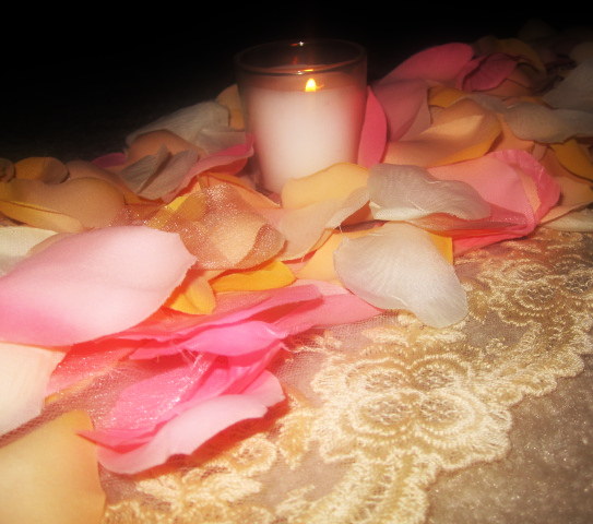BEAUTIFUL LACE EDGE ROSE PETAL AISLE RIBBONS FOR RENT wedding petal 