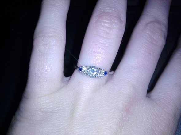 How many bees were proposed to on Valentine's Day? :  wedding proposal valentines day 0000