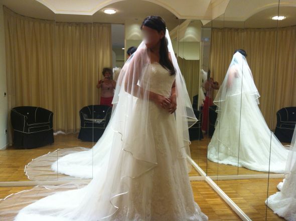Does this veil compliments the dress
