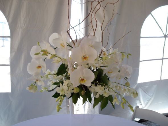 White Orchids centerpieces