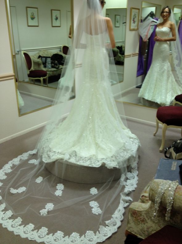 My Cathedral Length Beaded Lace Veil