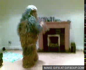 chewbacca-dancing_o_GIFSoup.com.gif