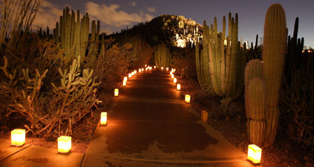 Desert Romance :  wedding Las Noches De Las Luminarias