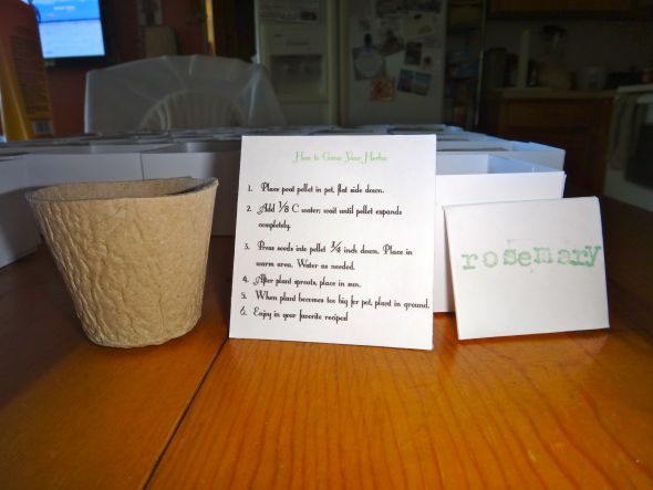 I made favors! :  wedding budget diy favor herb madlib plant Out Of Box