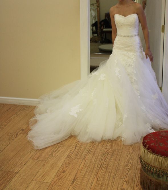 Help!  Which dress ooks better on me?!  Long with tons of pics! :  wedding Dabra