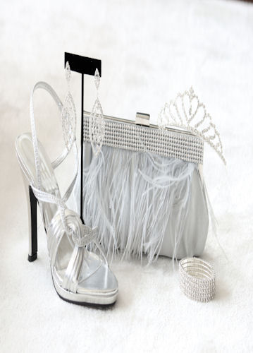 Wedding Jewelry and bag