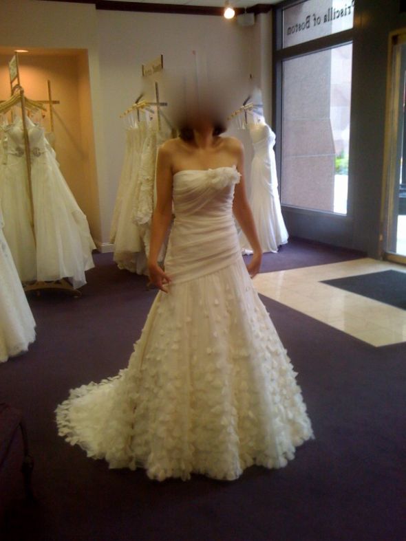 Nervous about my dress choice.  What do you think hive? :  wedding wedding dress Dress1