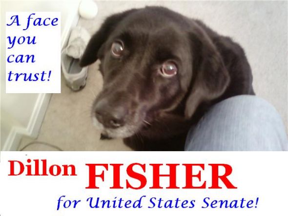 Show me your lovelies! :  wedding Dillon For Senate