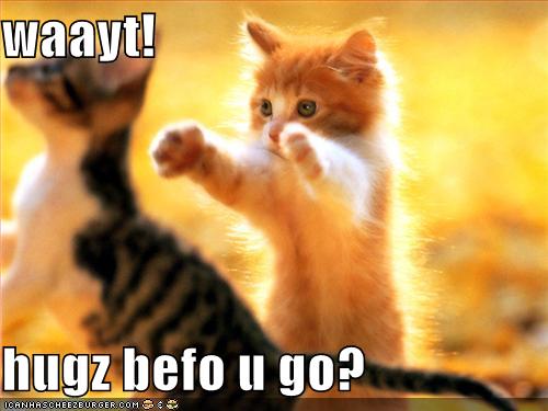 [Bild: funny-pictures-kittens-hugs-before-you-go.jpg]
