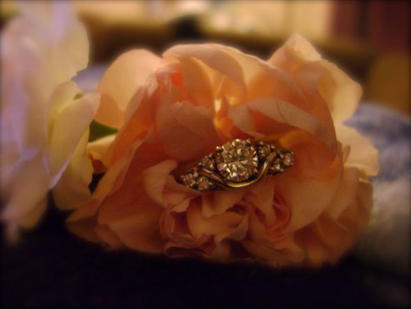 My Rings Pic Heavy-showed you mine, show me your's :  wedding artsy engagement good shots new ring photos wedding rings DSC01419 My Rings Pic Heavy-showed you mine, show me your's :  wedding artsy engagement good shots new ring photos wedding rings DSC01419 